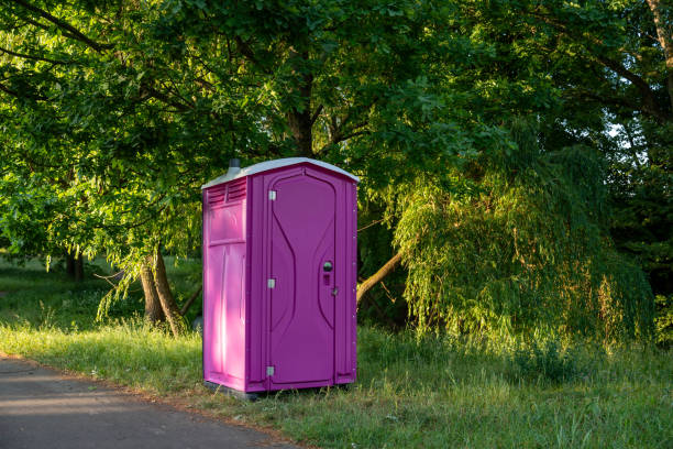 Best Porta potty rental for festivals  in Lawrencevle, IL